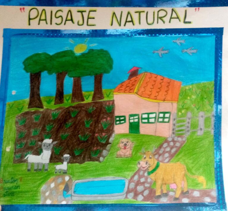 Dibujo ganador