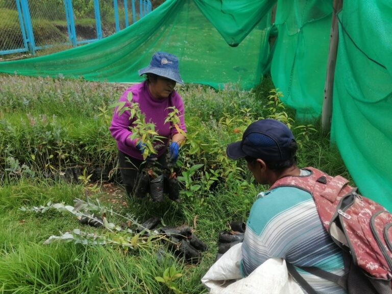 WhatsApp Image 2022-02-07 at 12.04.39 PM