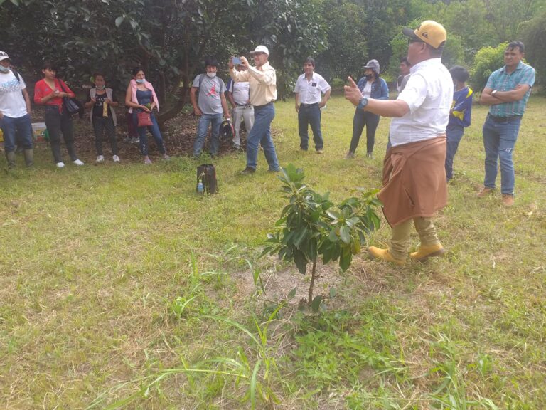 WhatsApp Image 2022-04-26 at 14.56.58