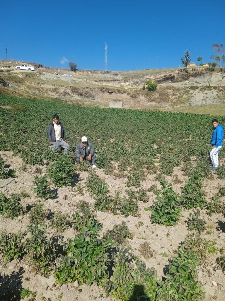 WhatsApp Image 2022-09-09 at 12.21.49 PM (1)