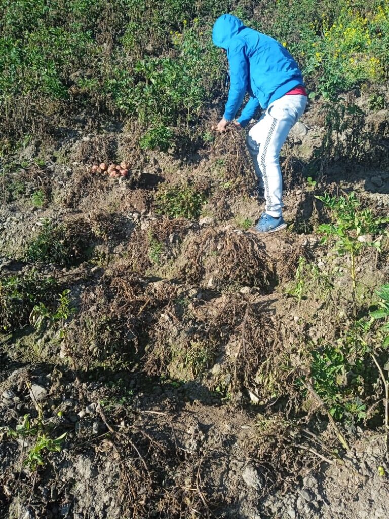 WhatsApp Image 2022-09-09 at 12.21.50 PM