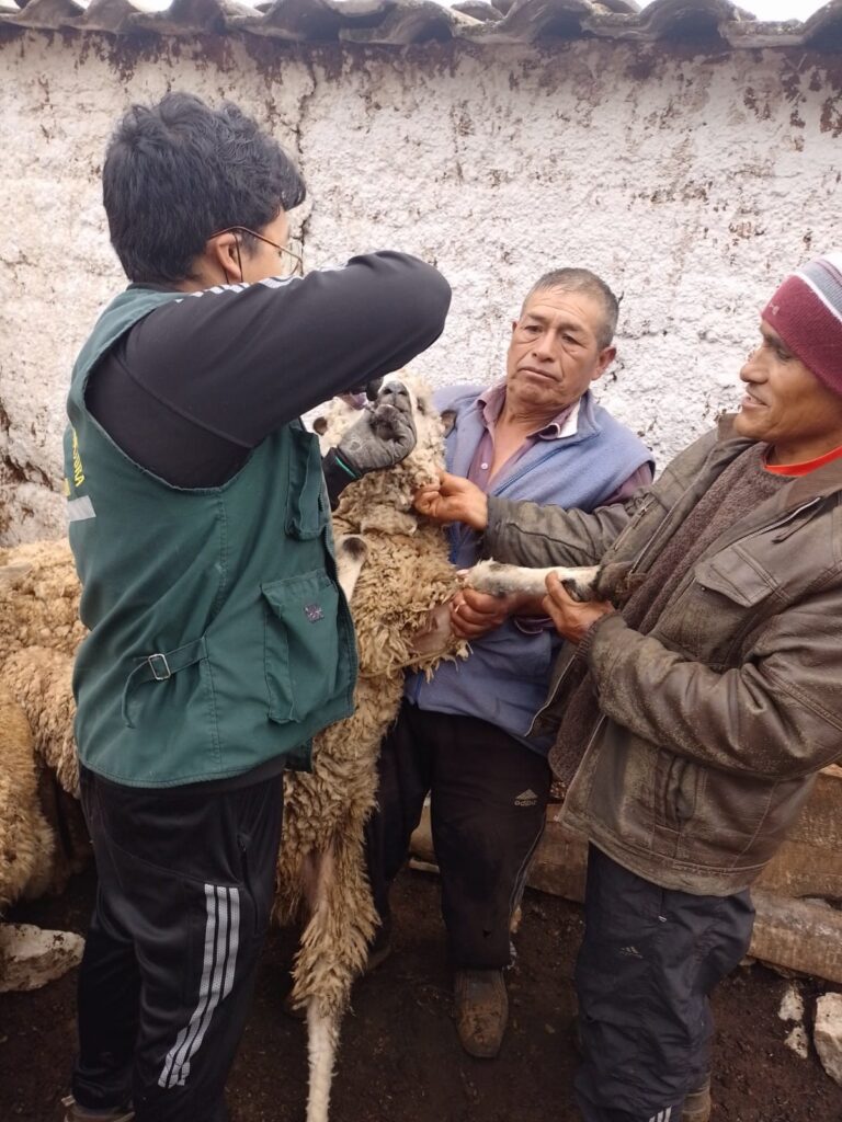 WhatsApp Image 2022-10-19 at 4.31.36 PM (1)